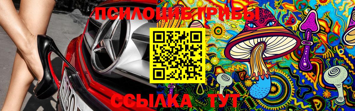 Псилоцибиновые грибы MAGIC MUSHROOMS Солнечногорск